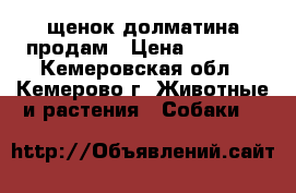 щенок долматина продам › Цена ­ 5 300 - Кемеровская обл., Кемерово г. Животные и растения » Собаки   